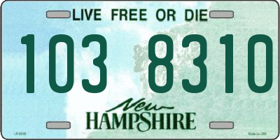 NH license plate 1038310
