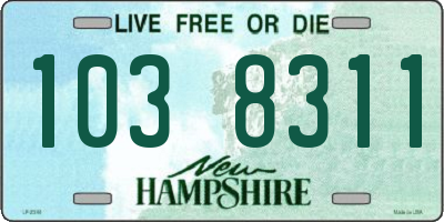 NH license plate 1038311