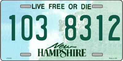 NH license plate 1038312