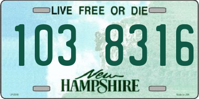 NH license plate 1038316