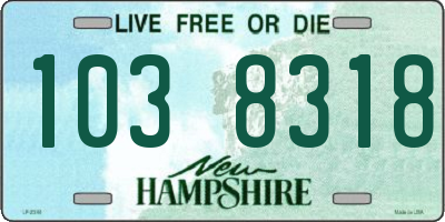 NH license plate 1038318