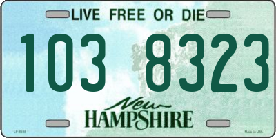 NH license plate 1038323