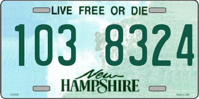 NH license plate 1038324