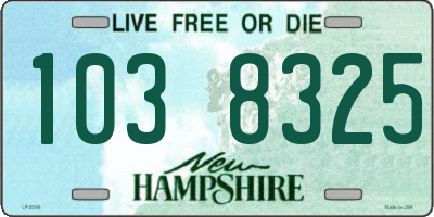 NH license plate 1038325