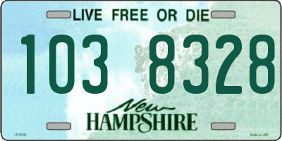 NH license plate 1038328