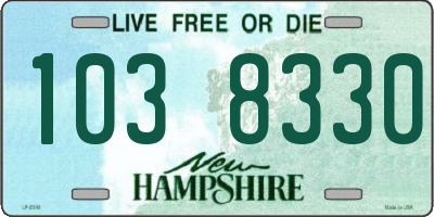 NH license plate 1038330