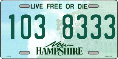 NH license plate 1038333