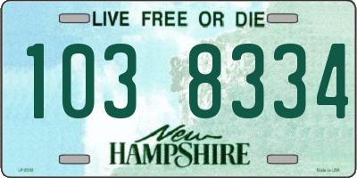 NH license plate 1038334