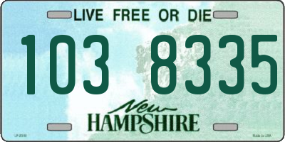 NH license plate 1038335