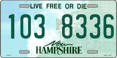 NH license plate 1038336