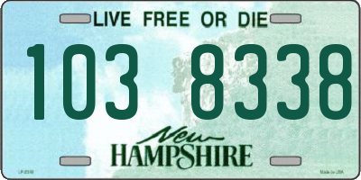 NH license plate 1038338