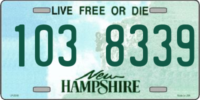 NH license plate 1038339