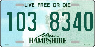 NH license plate 1038340