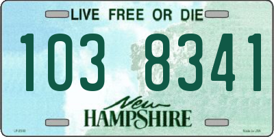 NH license plate 1038341