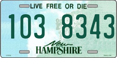 NH license plate 1038343