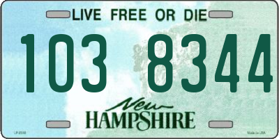 NH license plate 1038344