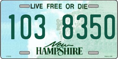 NH license plate 1038350