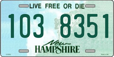 NH license plate 1038351