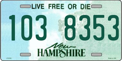 NH license plate 1038353