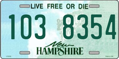 NH license plate 1038354