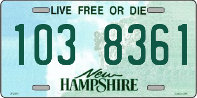 NH license plate 1038361