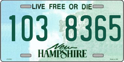 NH license plate 1038365