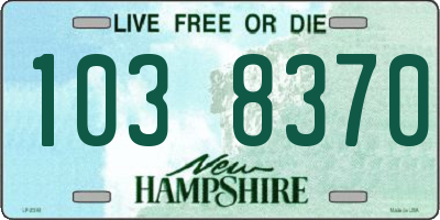 NH license plate 1038370