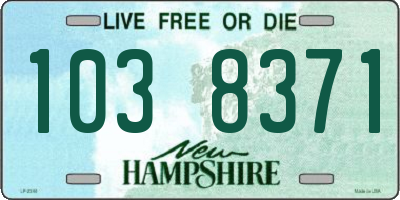 NH license plate 1038371