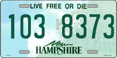 NH license plate 1038373