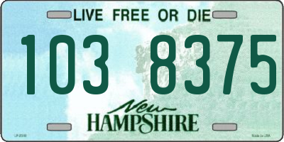 NH license plate 1038375