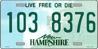 NH license plate 1038376
