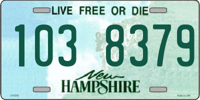 NH license plate 1038379