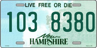 NH license plate 1038380