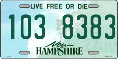 NH license plate 1038383