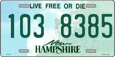 NH license plate 1038385