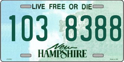 NH license plate 1038388