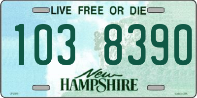 NH license plate 1038390