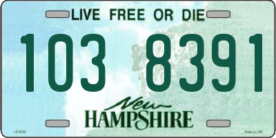 NH license plate 1038391