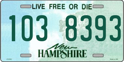 NH license plate 1038393