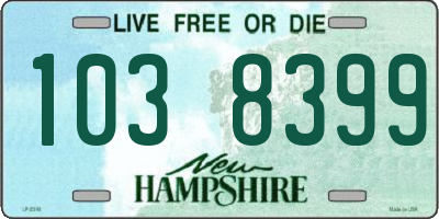NH license plate 1038399