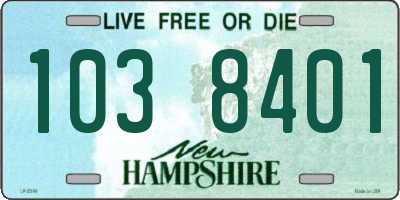 NH license plate 1038401