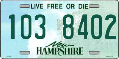 NH license plate 1038402