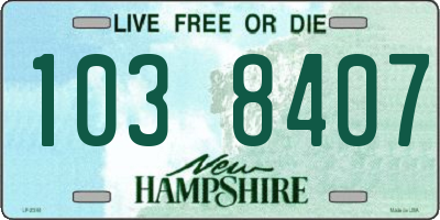 NH license plate 1038407