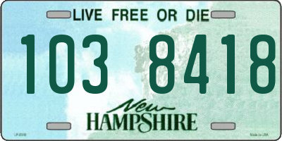 NH license plate 1038418