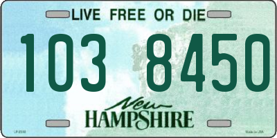 NH license plate 1038450