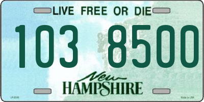 NH license plate 1038500