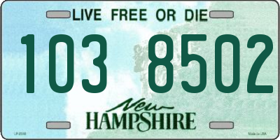 NH license plate 1038502