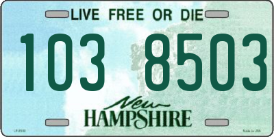 NH license plate 1038503