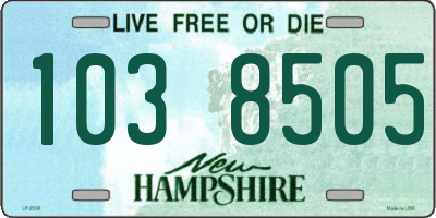 NH license plate 1038505