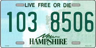 NH license plate 1038506